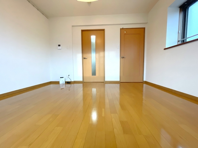 Vacancy Cleaning