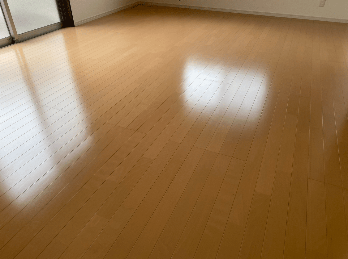Floor Cleaning